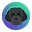 coin 2
