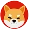 coin 1